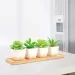 1pc Wooden Bamboo Tray Succulent Cactus Holder Pot Tray Simple Elegan Design Home Decor Plant Flower Pot Saucer Rectangle Shape_maomaolike.com
