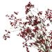 Artificial North American Wintergreen Mountain Return Fruit Vine Berry Wrapped Branches Chinese Style Decoration Wedding_maomaolike.com