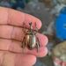 Cross-Border Prank Big Beetle Top-sale Cockroach Alloy Small Ornament Metal Door Cabinet Stall Copper Insect_maomaolike.com