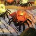 Halloween Decoration Spider Skull Head New Pumpkin Party Layout Props Led Candle Lamp Night Light_maomaolike.com