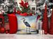 Blue Heron Barely Lit Sky Throw Pillow Machine Washable, Indoor Outdoor Decorative Pillow For Couch, Bed Or Patio, 14Hx14W_maomaolike.com