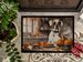 Boxer Fall Kitchen Pumpkins Doormat Front Door Mat Indoor Outdoor Rugs For Entryway, Non Slip Washable Low Pile, 24H X 36W_maomaolike.com