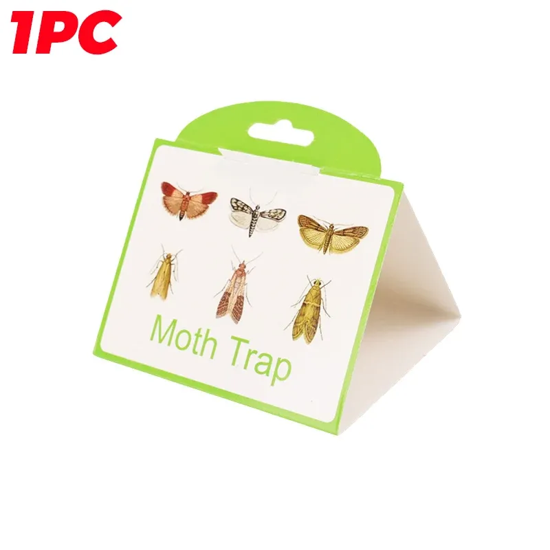 Pest Pheromone Moth Killer Insect Catcher Fly Sticky Traps Garden Pantry Food Flycatcher Sticker Plate Trap_maomaolike.com