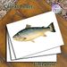 Salmon Themed Painting Poster, Vintage Detailed Salmon Illustration Poster, Realistic Aquatic Artwork, Suitable For Coastal-themed Spaces, Dining_maomaolike.com