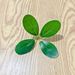 Single-piece Artificial Small Money Bayberry Store Gift Box Decoration, Fake Leaves, Plastic Fruit Green Leaves_maomaolike.com