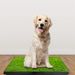 25"×20" Dog Toilet Indoor Puppy Training Pad, Dog Potty Pet Training Grass Mat, Removable Waste Tray For Easier Clean Up, Artificial Turf_maomaolike.com