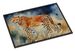 Cheetah Doormat Front Door Mat Indoor Outdoor Rugs For Entryway, Non Slip Washable Low Pile, 24H X 36W_maomaolike.com