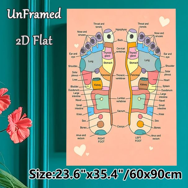 Foot Reflexology Painting Poster, Clear Color-coded Anatomical Diagram Poster, Educational Guide To Foot Pressure Zones, Ideal For Massage Studios_maomaolike.com