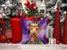 Irish Terrier King Of Mardi Gras Throw Pillow Machine Washable, Indoor Outdoor Decorative Pillow For Couch, Bed Or Patio, 14Hx14W_maomaolike.com