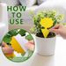 Landisun Fruit Fly Fungus Gnat-Traps For Indoor-Outdoor Yellow Fruit-Fly Sticky-Trap Plants Flying Bug Insects Traps_maomaolike.com