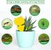 Double-sided Insect Catcher Fly Sticky Trap Board Flycatcher Sticker Plate Pest Traps Bugs For Garden Plant Protection_maomaolike.com