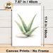 Aloe Vera Painting Poster, Soft Watercolor Style Aloe With Smooth Stone Poster, Fresh Natural Vibe, Ideal For Bedroom, Living Room And Bathroom_maomaolike.com
