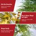 6 Feet Artificial Christmas Tree with 612 Tips and LED Lights, Includes Metal Stand for Xmas Decoration_maomaolike.com