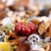 Natural Plant Materials Decorative Ornaments Wreath Handmade Hanging Decor Dried Fruit Combination Set DIY_maomaolike.com