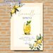 Limoncello Spritz Recipe Painting Poster, Delicate Watercolor-style Cocktail & Lemon Motif Poster, Practical Drink Recipe Display, Ideal For Home Bar_maomaolike.com