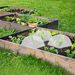 6 Sets Strawberry Supports With 24 Ground Nails Square Strawberry Growing Support Stakes Reusable Cloche Dome For Outdoor Garden Vegetable_maomaolike.com