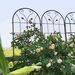 4 Pack Metal Garden Trellis 86.7" X 19.7" Rustproof Trellis For Climbing Plants Outdoor Flower Support Black_maomaolike.com