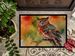 Elf Owl Doormat Front Door Mat Indoor Outdoor Rugs For Entryway, Non Slip Washable Low Pile, 24H X 36W_maomaolike.com