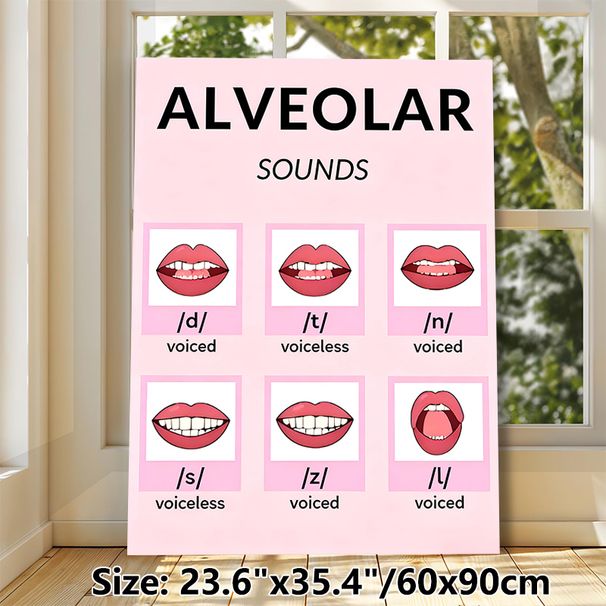 Alveolar Sounds Educational Painting Poster, Clear Illustrated Phonetics Poster, Visual Reference For English Pronunciation Learning, Suitable For_maomaolike.com