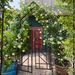 Metal Garden Arch With Gate W58.07*H97.24 Climbing Plants Support Rose Arch Outdoor Black_maomaolike.com