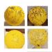 Strong Sticky Fly Trap Indoor Outdoor Fruit Insect Catcher Non Toxic Glue Ball Garden Lawn Travel Portable Pest Control_maomaolike.com