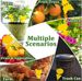 Landisun Fruit Fly Fungus Gnat-Traps For Indoor-Outdoor Yellow Fruit-Fly Sticky-Trap Plants Flying Bug Insects Traps_maomaolike.com
