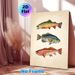Vintage Fish Painting Poster, Detailed Hand-drawn Colorful Freshwater Fish Poster, Brings Natural Rustic Charm, Ideal For Living Room, Study Or_maomaolike.com