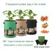 7/10 Gallon Potato Grow Bag Felt Non-woven Fabric Garden Potato Pot Greenhouse Vegetable Growing Bags With 360° Visualization_maomaolike.com