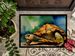 Turtles Tortoises Doormat Front Door Mat Indoor Outdoor Rugs For Entryway, Non Slip Washable Low Pile, 24H X 36W_maomaolike.com