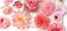 Artifiial For Wedding Pink Series Flower Heads DIY Materials Hair Aessories Deoration Fake Flowers High-end_maomaolike.com
