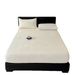 Winter Milk Velvet 2025 New Coral Thickened Fleece Mattress Protector Cover Bed Sheet_maomaolike.com