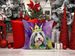 Bearded Collie King Of Mardi Gras Throw Pillow Machine Washable, Indoor Outdoor Decorative Pillow For Couch, Bed Or Patio, 18Hx18W_maomaolike.com