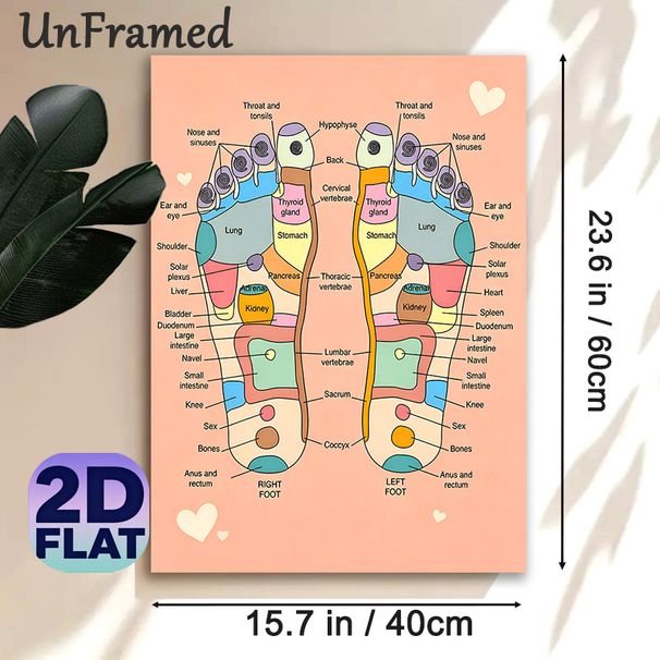 Foot Reflexology Painting Poster, Clear Color-coded Anatomical Diagram Poster, Educational Guide To Foot Pressure Zones, Ideal For Massage Studios_maomaolike.com