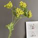 Artificial Foam 2-Head Fennel, Lace, Greenery, Gypsophila For Nordic Home Decor, Model Room, And Wedding Design_maomaolike.com