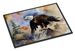 Eagle Doormat Front Door Mat Indoor Outdoor Rugs For Entryway, Non Slip Washable Low Pile, 24H X 36W_maomaolike.com