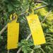 10-20PCS Catcher Boards With Windproof Hook Orchard Greenhouse Strong Adhesive Sticky Traps Bugs Flying Insect Sticker_maomaolike.com