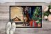 Boxer Cozy Christmas Doormat Front Door Mat Indoor Outdoor Rugs For Entryway, Non Slip Washable Low Pile, 24H X 36W_maomaolike.com