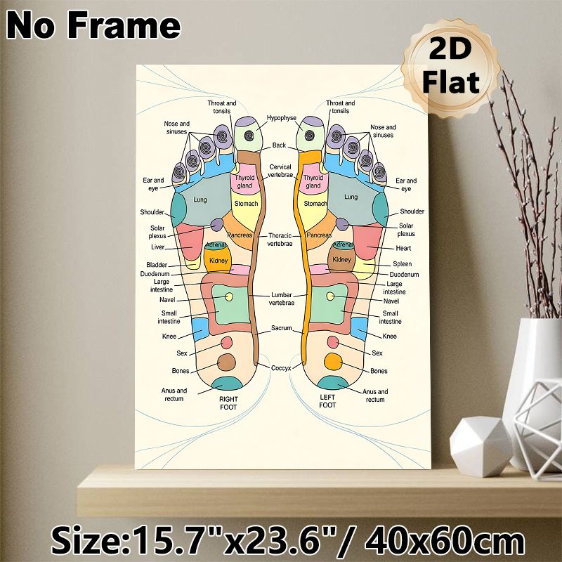 Reflexology Foot Chart Painting Poster, Colorful Detailed Anatomical Poster, Clearly Shows Foot-to-body Reflex Zones, Ideal For Massage Studios_maomaolike.com