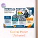 Internal Auditor Career Snapshot Painting Poster, Informative Modern Infographic Poster, Clearly Outlines Auditor Roles, Skills & Work Settings_maomaolike.com