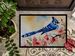 Blue Jay Doormat Front Door Mat Indoor Outdoor Rugs For Entryway, Non Slip Washable Low Pile, 24H X 36W_maomaolike.com