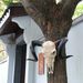 Bone-Inspired Bull Head Hanging Ornament-Resin Craft,Lifelike Details,North American Style_maomaolike.com
