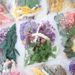 Preserved Dried DIY Material Kit Real Natural Air-Dried Candle Fan Frame Greeting Card Decoration Handmade Flower_maomaolike.com