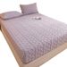Winter Taffeta Cotton Quilted Sheet Single Piece Mattress Protector 2024 New Fleece Bed Cover_maomaolike.com