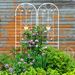 4 Pack Metal Garden Trellis 86.7" X 19.7" Rustproof Trellis For Climbing Plants Outdoor Flower Support Cream White_maomaolike.com