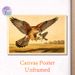 Raptor Hunting Bird Painting Poster, Vintage Realistic Wildlife Scene Poster, Lifelike Detailed Bird Depiction, Ideal For Home Office And Living Room_maomaolike.com