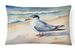 Birds, Birds, Birds Throw Pillow Throw Pillow For Indoor Couch Bed Outdoor Patio Washable, Tern 7530,12Hx16W_maomaolike.com