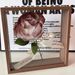 Dried Photo Double-Sided Transparent Hollow Display Creative Handmade DIY 3D Rose Eternal Flower Empty Frame_maomaolike.com