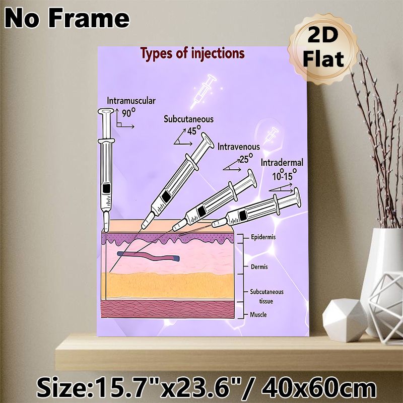 Types Of Injections Medical Educational Painting Poster, Clear Illustrative Anatomical Injection Guide Poster, Informative Medical Reference Ideal For_maomaolike.com