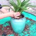 30/50/60CM Planting Mat PVC Gardening Potting Mats Reusable Garden Transplanting Pad Waterproof Plant Repotting Mat Flower Pots_maomaolike.com