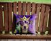 Catahoula King Of Mardi Gras Throw Pillow Machine Washable, Indoor Outdoor Decorative Pillow For Couch, Bed Or Patio, 14Hx14W_maomaolike.com
